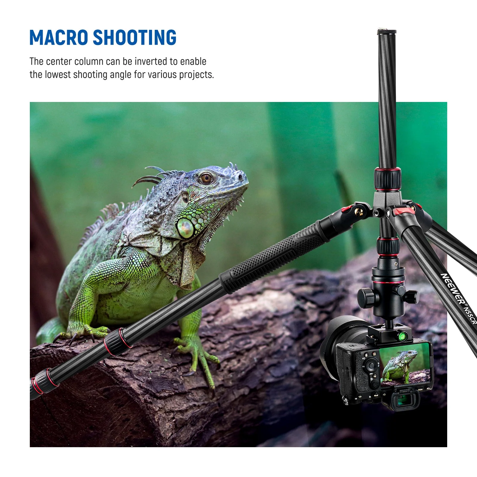 NEEWER Upgraded N55CR 80.7” Carbon Fiber Travel Tripod with 2 Section Center Axes - Image 5