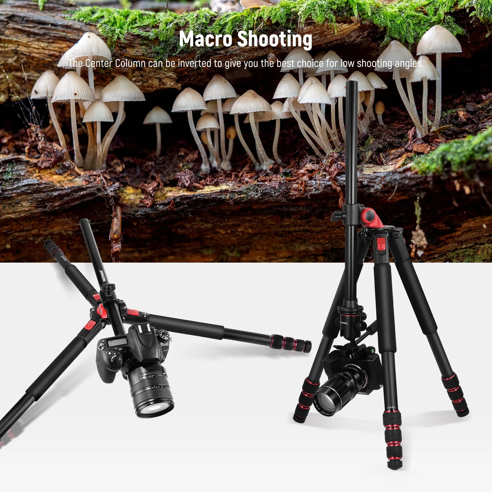 NEEWER TP27 73.6" Aluminum Monopod Tripod - Image 7